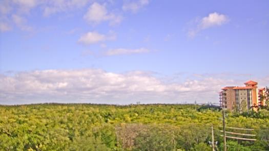 Weather camera view of WTSP-TV.