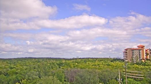 Weather camera view of WTSP-TV.