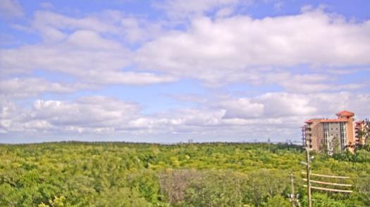 Weather camera view of WTSP-TV.