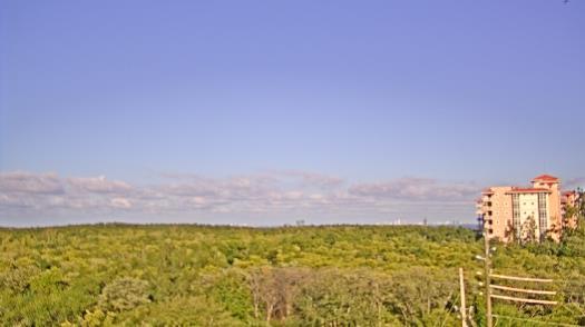 Weather camera view of WTSP-TV.
