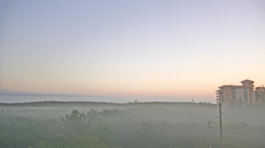 Weather camera view of WTSP-TV.