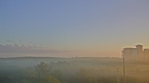Weather camera view of WTSP-TV.
