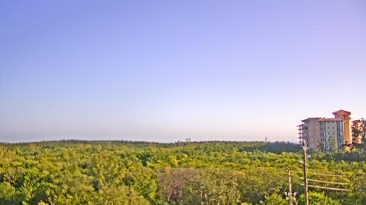 Weather camera view of WTSP-TV.