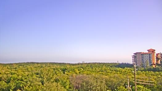 Weather camera view of WTSP-TV.