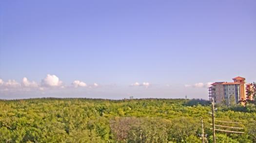 Weather camera view of WTSP-TV.