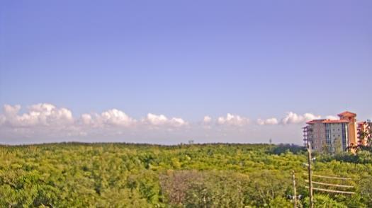 Weather camera view of WTSP-TV.