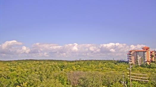 Weather camera view of WTSP-TV.