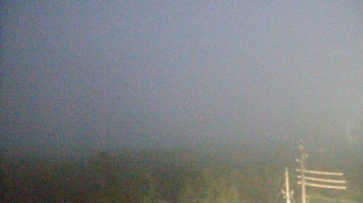 Weather camera view of WTSP-TV.