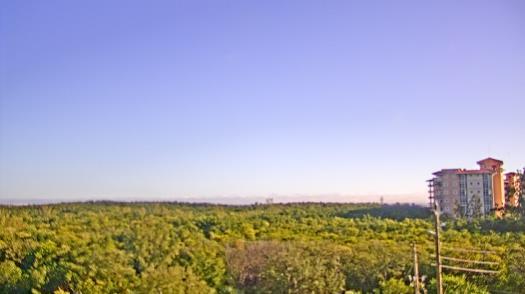 Weather camera view of WTSP-TV.