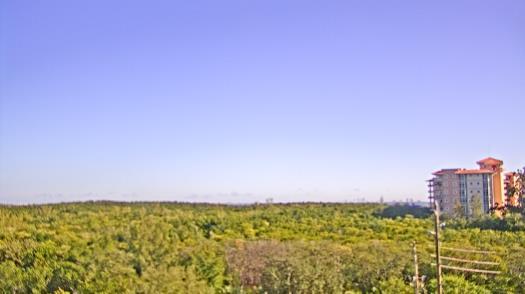 Weather camera view of WTSP-TV.