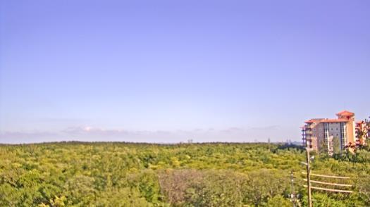 Weather camera view of WTSP-TV.