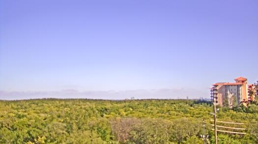 Weather camera view of WTSP-TV.