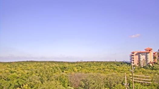 Weather camera view of WTSP-TV.