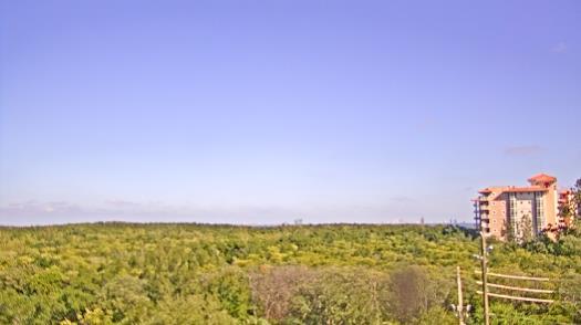 Weather camera view of WTSP-TV.