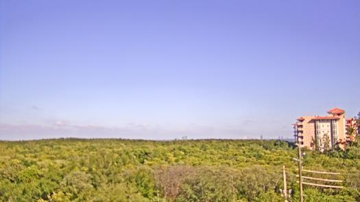 Weather camera view of WTSP-TV.