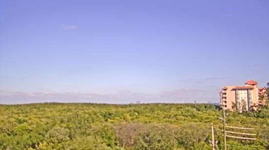 Weather camera view of WTSP-TV.