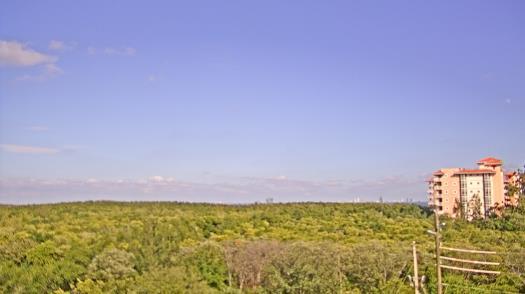 Weather camera view of WTSP-TV.