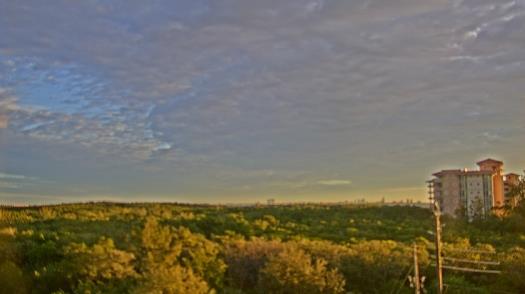 Weather camera view of WTSP-TV.