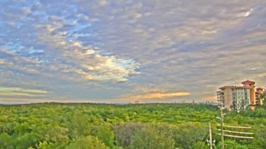 Weather camera view of WTSP-TV.