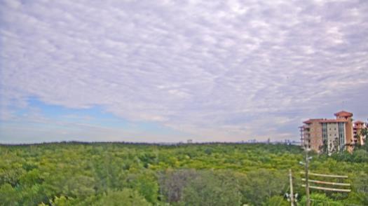 Weather camera view of WTSP-TV.