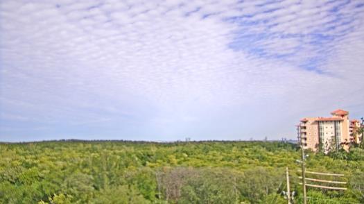 Weather camera view of WTSP-TV.