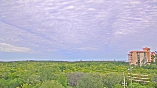 Weather camera view of WTSP-TV.