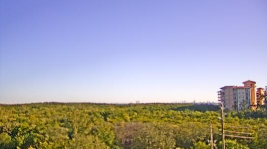 Weather camera view of WTSP-TV.