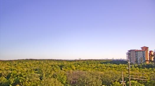 Weather camera view of WTSP-TV.