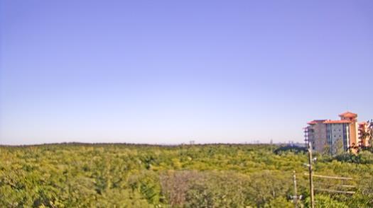 Weather camera view of WTSP-TV.