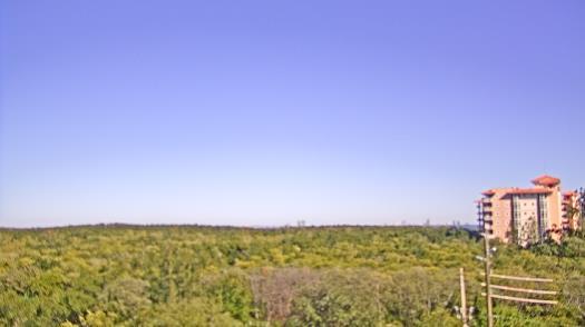 Weather camera view of WTSP-TV.