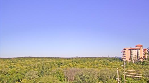 Weather camera view of WTSP-TV.