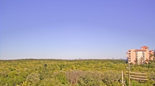 Weather camera view of WTSP-TV.