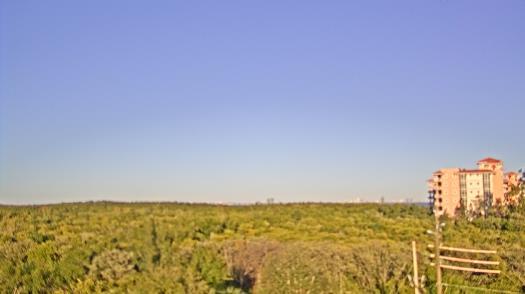 Weather camera view of WTSP-TV.