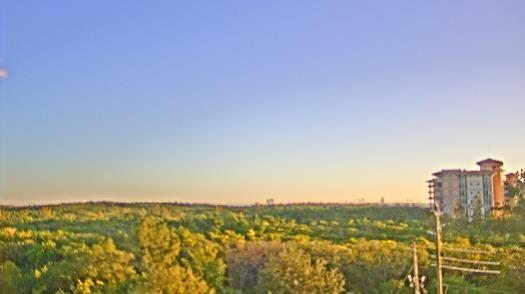 Weather camera view of WTSP-TV.