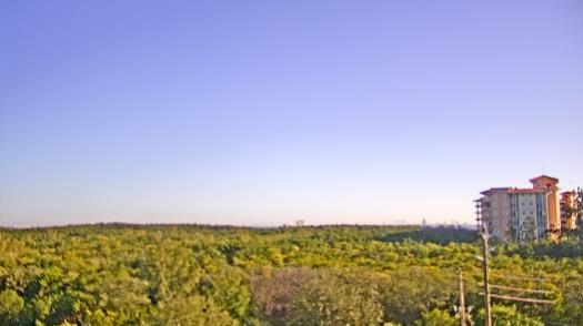 Weather camera view of WTSP-TV.