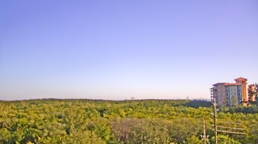 Weather camera view of WTSP-TV.