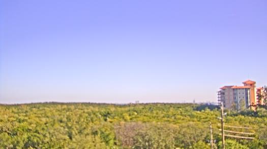 Weather camera view of WTSP-TV.