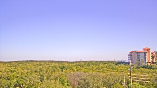 Weather camera view of WTSP-TV.