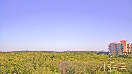 Weather camera view of WTSP-TV.