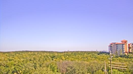 Weather camera view of WTSP-TV.