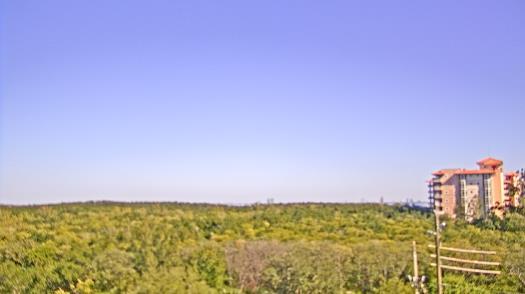 Weather camera view of WTSP-TV.