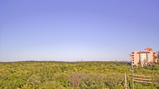 Weather camera view of WTSP-TV.