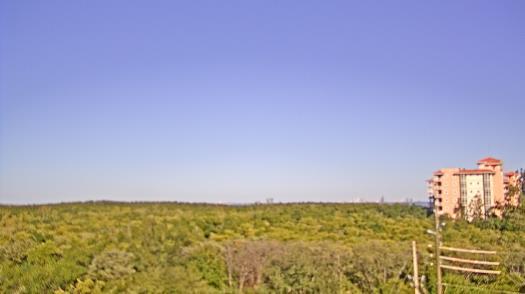 Weather camera view of WTSP-TV.