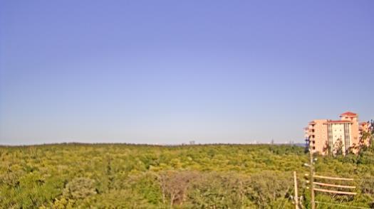 Weather camera view of WTSP-TV.