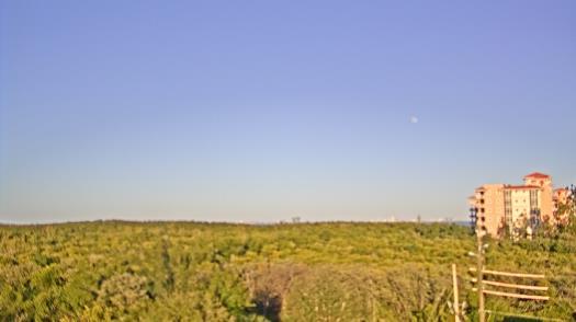 Weather camera view of WTSP-TV.