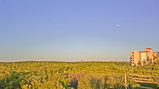 Weather camera view of WTSP-TV.