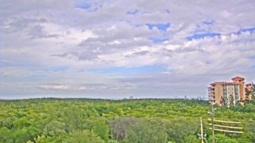 Weather camera view of WTSP-TV.