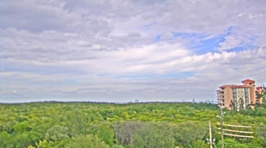 Weather camera view of WTSP-TV.