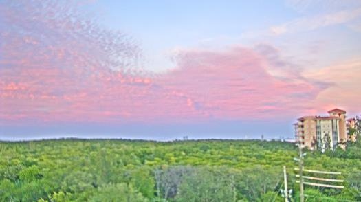 Weather camera view of WTSP-TV.