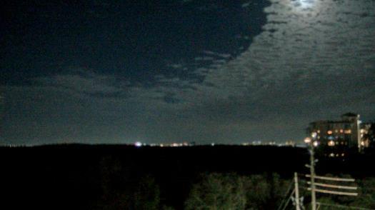 Weather camera view of WTSP-TV.